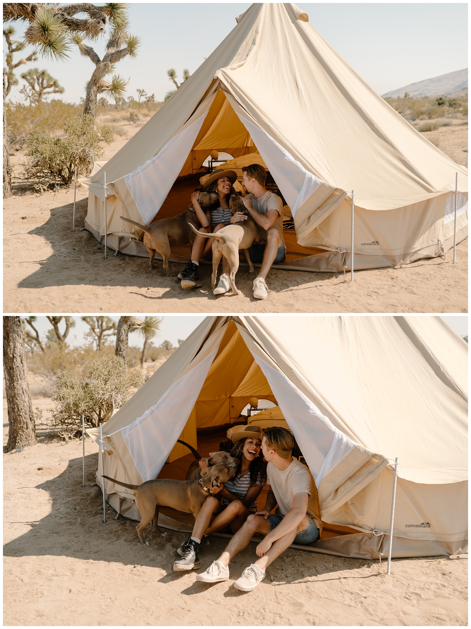 Glamping tent couple session with dogs in Joshua Tree, California by adventurous destination photographer