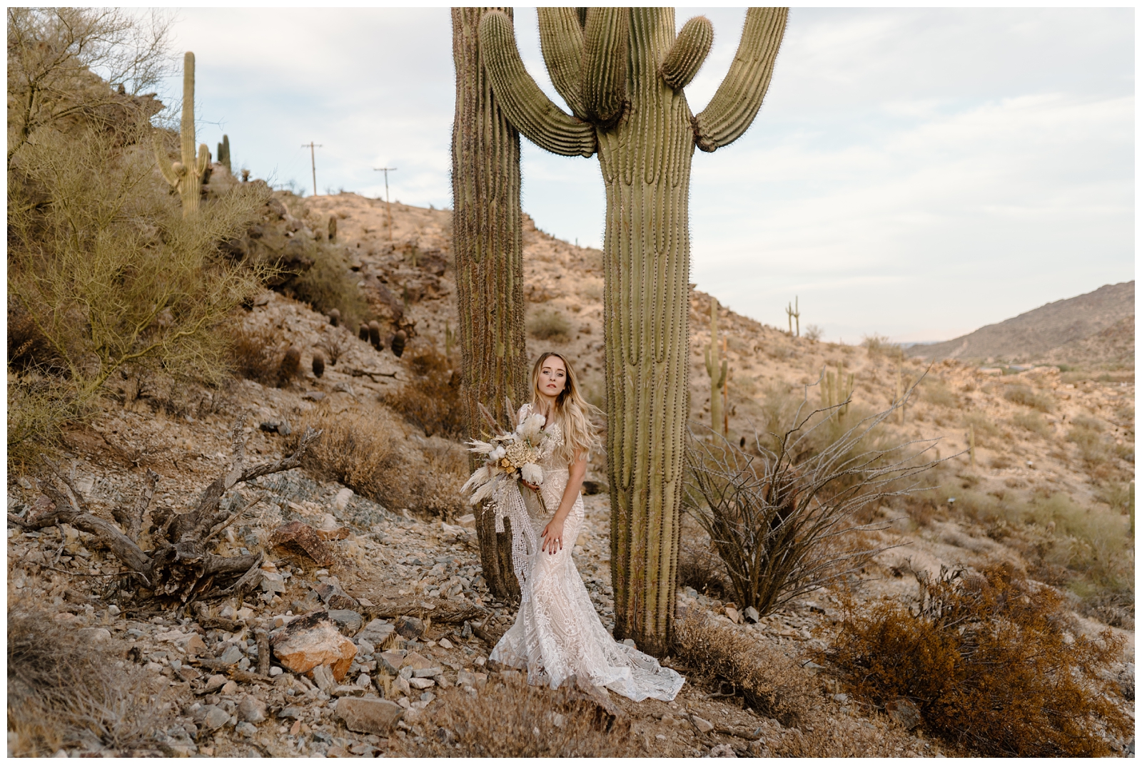 Stunning boho desert and cacti bridal session in Arizona by destination wedding photographer