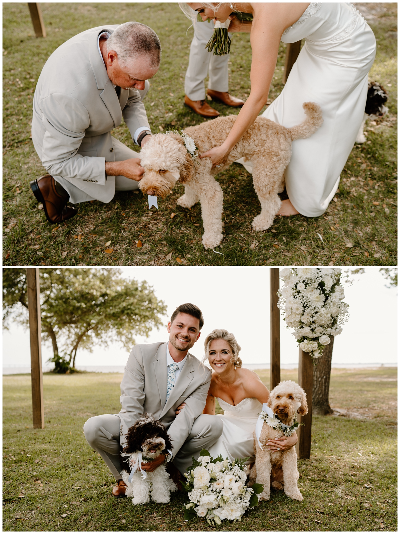Newlyweds with their dogs on their wedding day in the Outer Banks