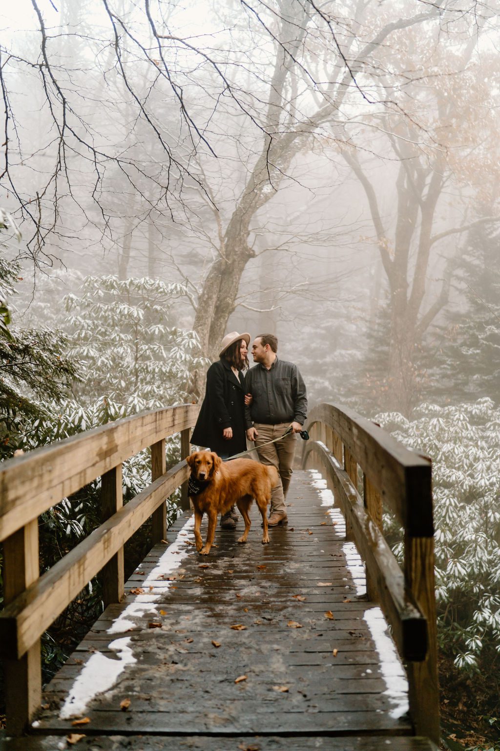 Snowy Winter Engagement Photos At Blue Ridge Parkway